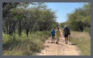 Bush Activities near Orpen Gate with Sunset Lodge and Safaris